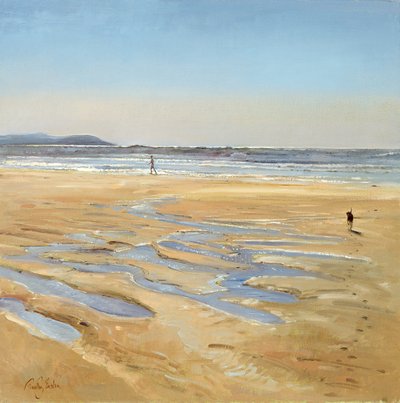 Passeggiatori sulla Spiaggia da Timothy Easton